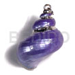 Purple turbo shell approx.