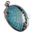 Glistening turquoise abalone approx.