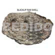 Ra unpolished blacklip shells
