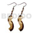 Dangling wavy brownlip tiger 40mmx10mm