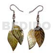 Dangling double leaf brownlip 25mm