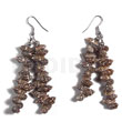 Dangling nassa tiger shells