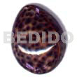 Tiger cowrie oval hunchback