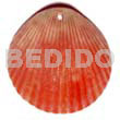 Red piktin clam