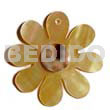 Mop flower cowrie shell