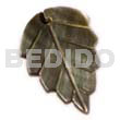 25mmx14mm blacklip leaf