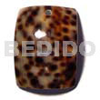 Rectangular cowrie shell 40mmx35mm