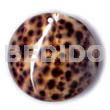 Round tiger cowrie 40mm