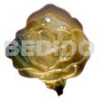 35mm blacklip rose