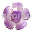 Graduated lavender 35mm hammershell flower