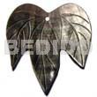 50mmx40mm blacklip leaf