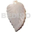 50mmx35mm kabibe shell leaf