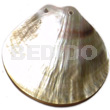 60mm clam shape blacklip shell