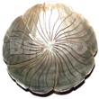 50mm flower blacklip shell